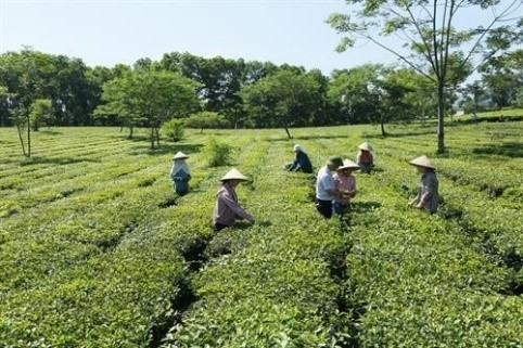 quoc-oai-ha-noi-hoa-thach-no-luc-xay-dung-nong-thon-moi-nang-cao