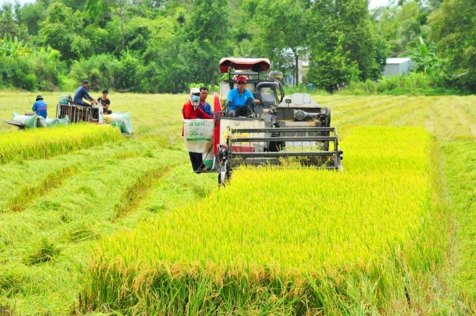 huong-toi-gao-viet-xanh-phat-thai-thap