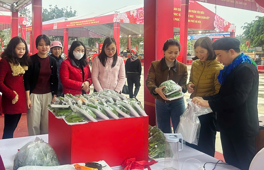 soi-dong-cho-xuan-ngoai-thanh