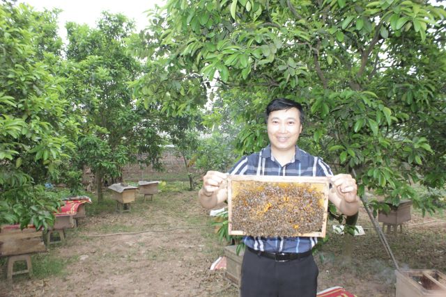 dan-phuong-san-pham-ocop-3-sao-mat-ong-tuan-minh-mang-den-gia-tri-that-cho-nguoi-tieu-dung