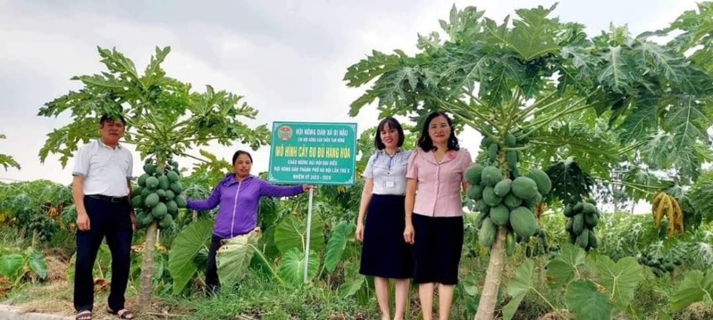 thach-that-ha-noi-nhieu-khoi-sac-trong-xay-dung-nong-thon-moi-nang-cao-kieu-mau