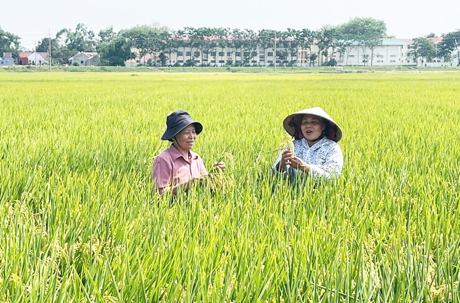 uu-tien-dau-tu-cong-nghe-sinh-hoc-trong-nong-nghiep