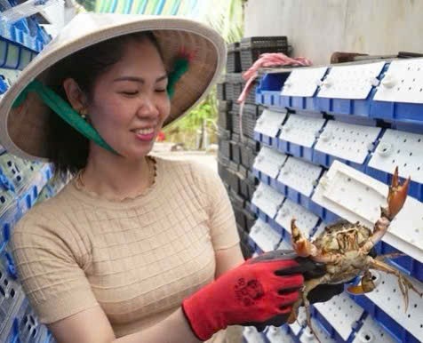 nuoi-cua-trong-hop-nhua-huong-di-nhieu-sang-tao