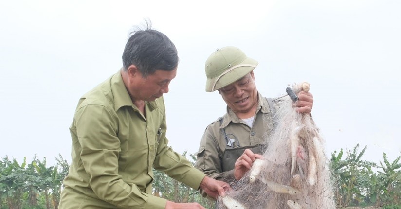 thai-binh-dam-me-lam-nong-nghiep-phat-trien-kinh-te