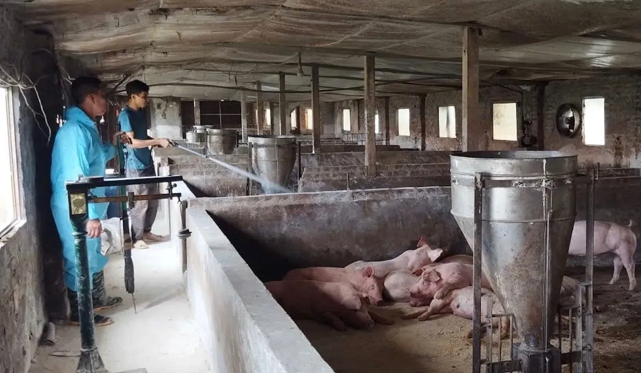 ha-noi-dich-ta-lon-chau-phi-tung-buoc-duoc-kiem-soat