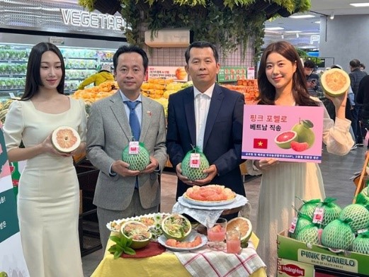 trai-buoi-viet-nam-chinh-thuc-co-mat-tren-ke-hang-lotte-mart-han-quoc