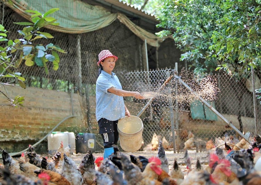 phat-trien-trang-trai-gan-voi-nen-kinh-te-xanh