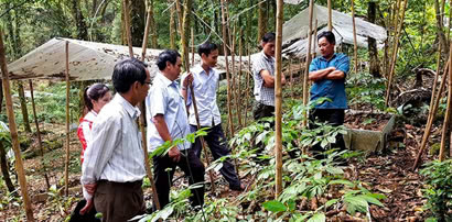 lam-giau-tren-dinh-ngoc-linh