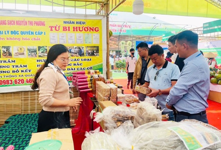 festival-san-pham-nong-nghiep-va-lang-nghe-ha-noi-lan-thu-ba-kich-cau-tieu-dung-dip-cuoi-nam