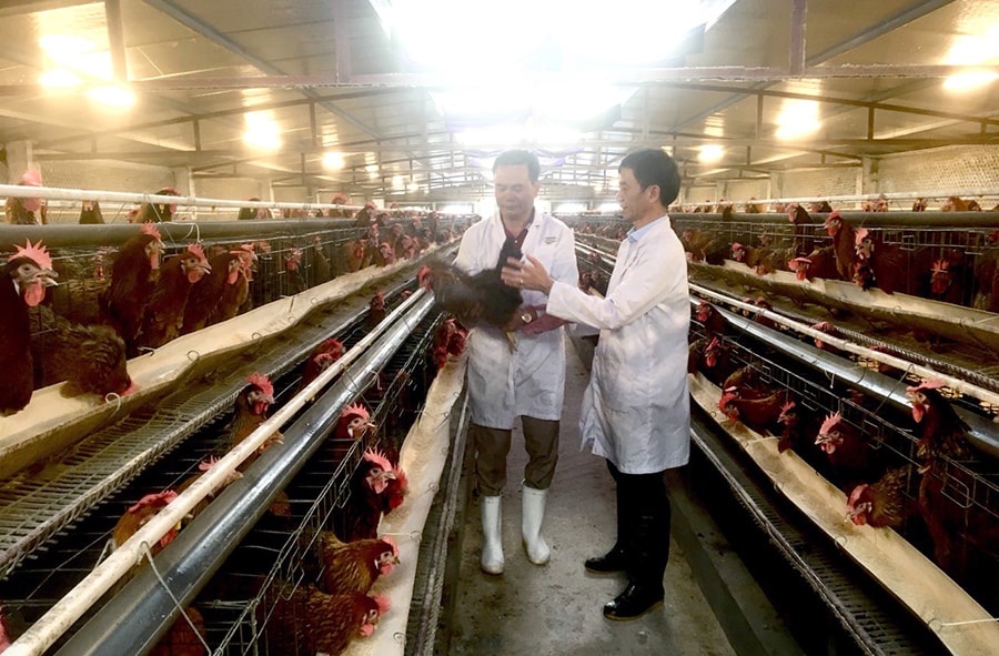 ha-noi-go-vuong-cho-nong-nghiep-cong-nghe-cao