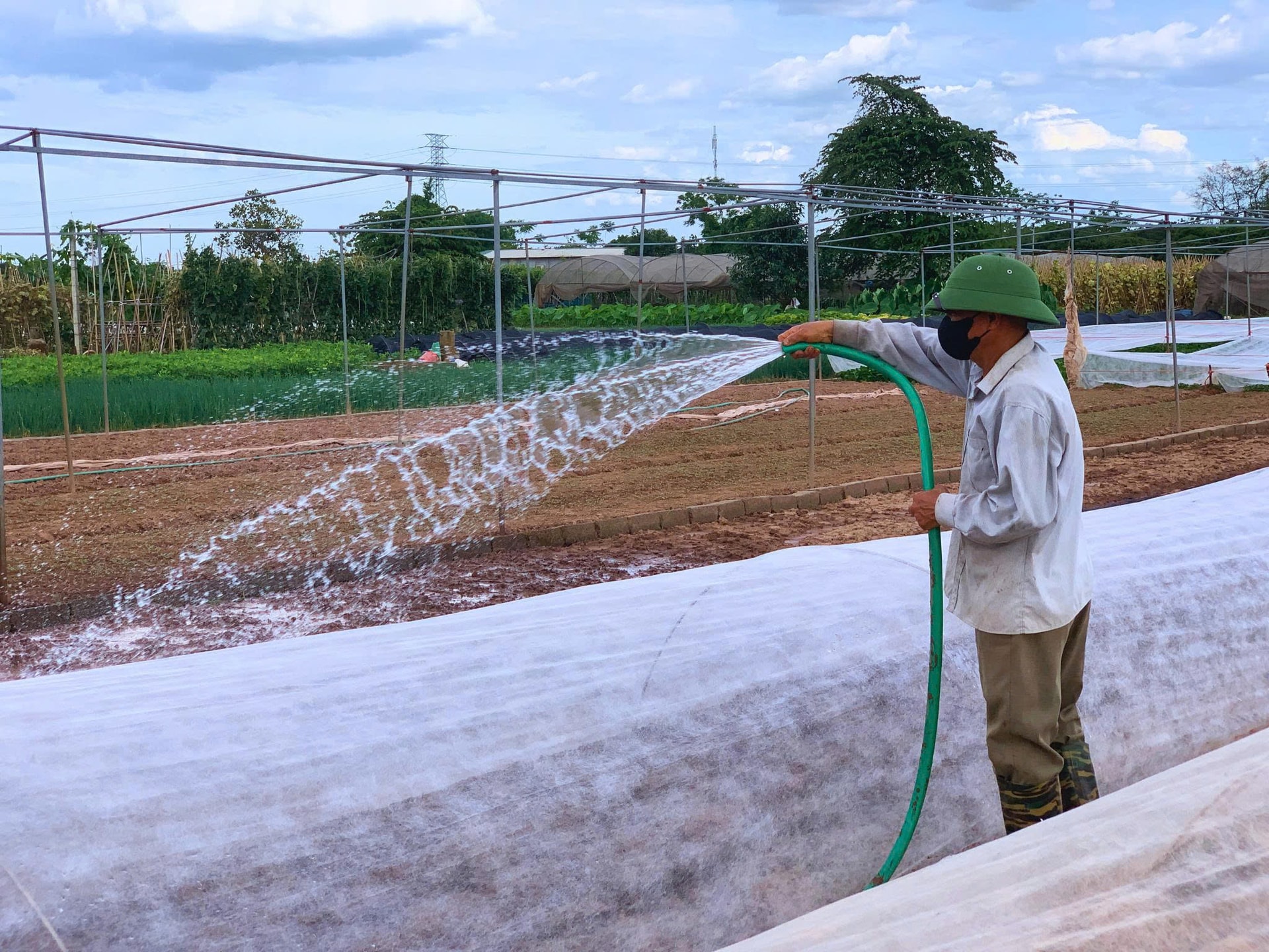 hop-tac-xa-rau-qua-sach-chuc-son-diem-sang-voi-vung-san-xuat-hon-30ha-vietgap