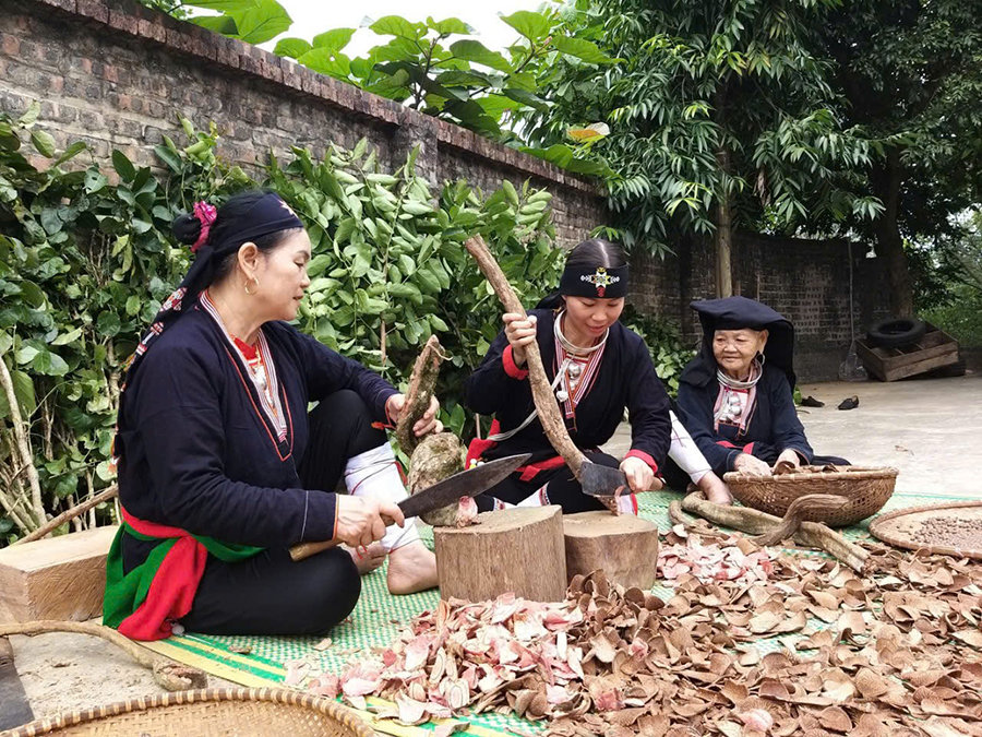hieu-qua-chuoi-trong-che-bien-thao-duoc-dao-ba-vi