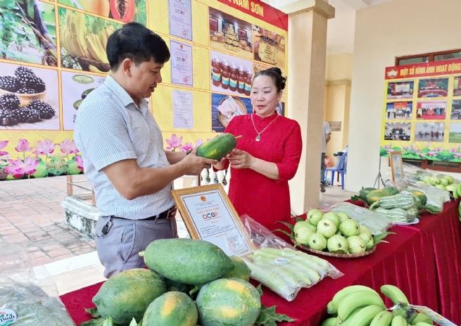 soc-son-xay-dung-nong-thon-moi-chu-trong-phat-trien-nong-nghiep-sach