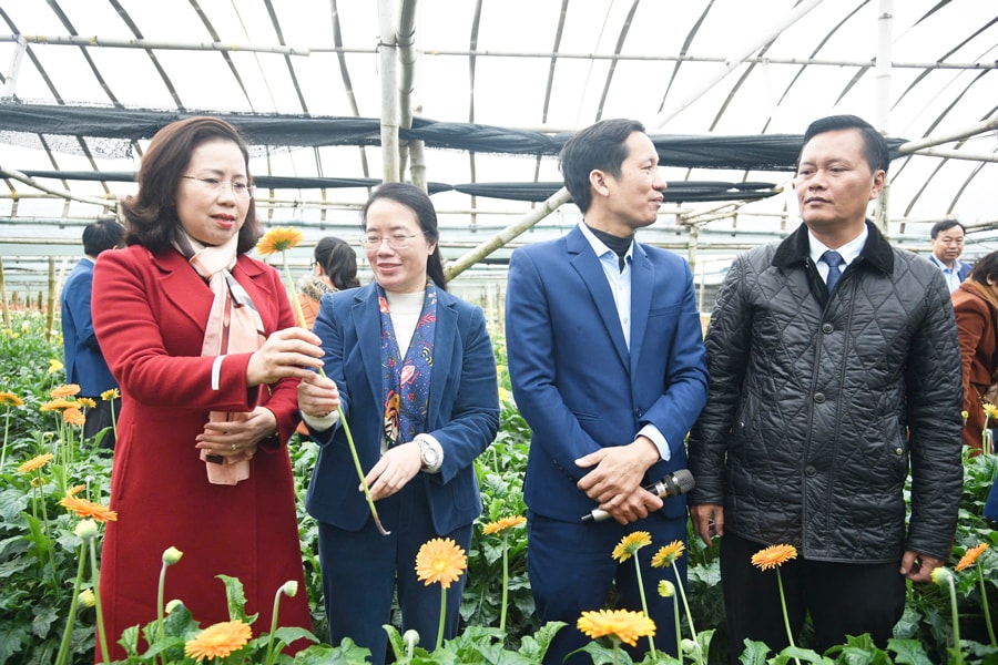 phat-huy-vai-tro-nong-dan-thu-do-trong-nong-nghiep-xanh