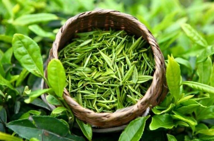 hoa-ky-tang-nhap-khau-che-tu-viet-nam