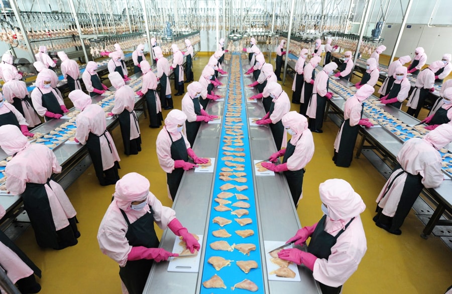 ha-noi-siet-chat-quan-ly-giet-mo-huong-toi-thuc-pham-an-toan