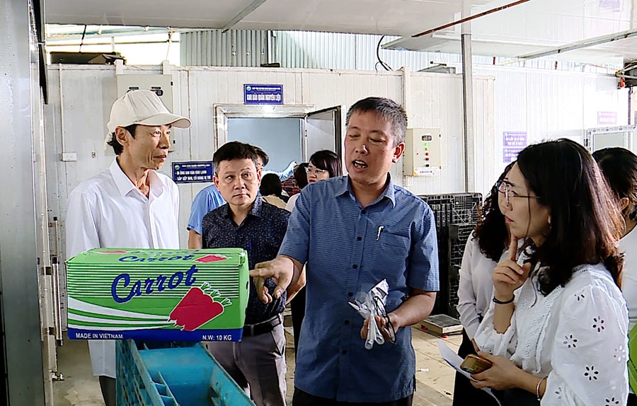 bao-dam-an-toan-thuc-pham-nong-lam-thuy-san-siet-chat-giam-sat-canh-bao-som-nguy-co