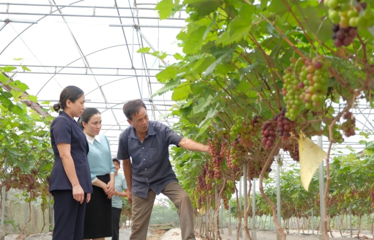 phat-huy-vai-tro-nong-dan-thu-do-trong-chuyen-doi-xanh