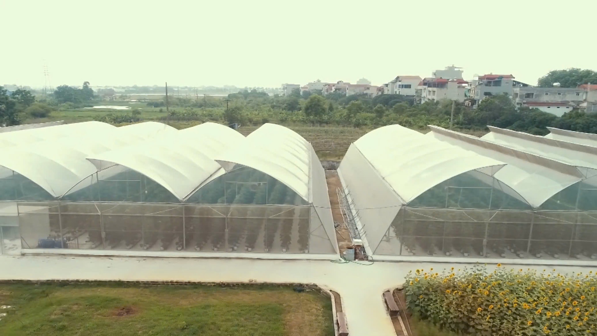 thuong-tin-phat-trien-chuoi-nong-san-an-toan