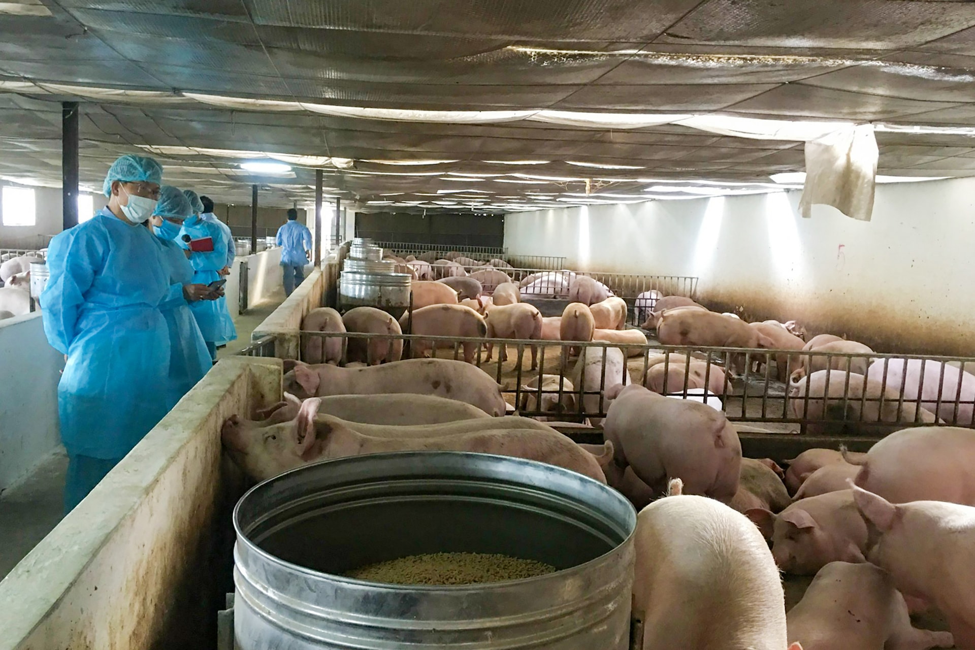 ung-dung-cong-nghe-cao-hinh-thanh-chuoi-lien-ket-chan-nuoi-co-gia-tri