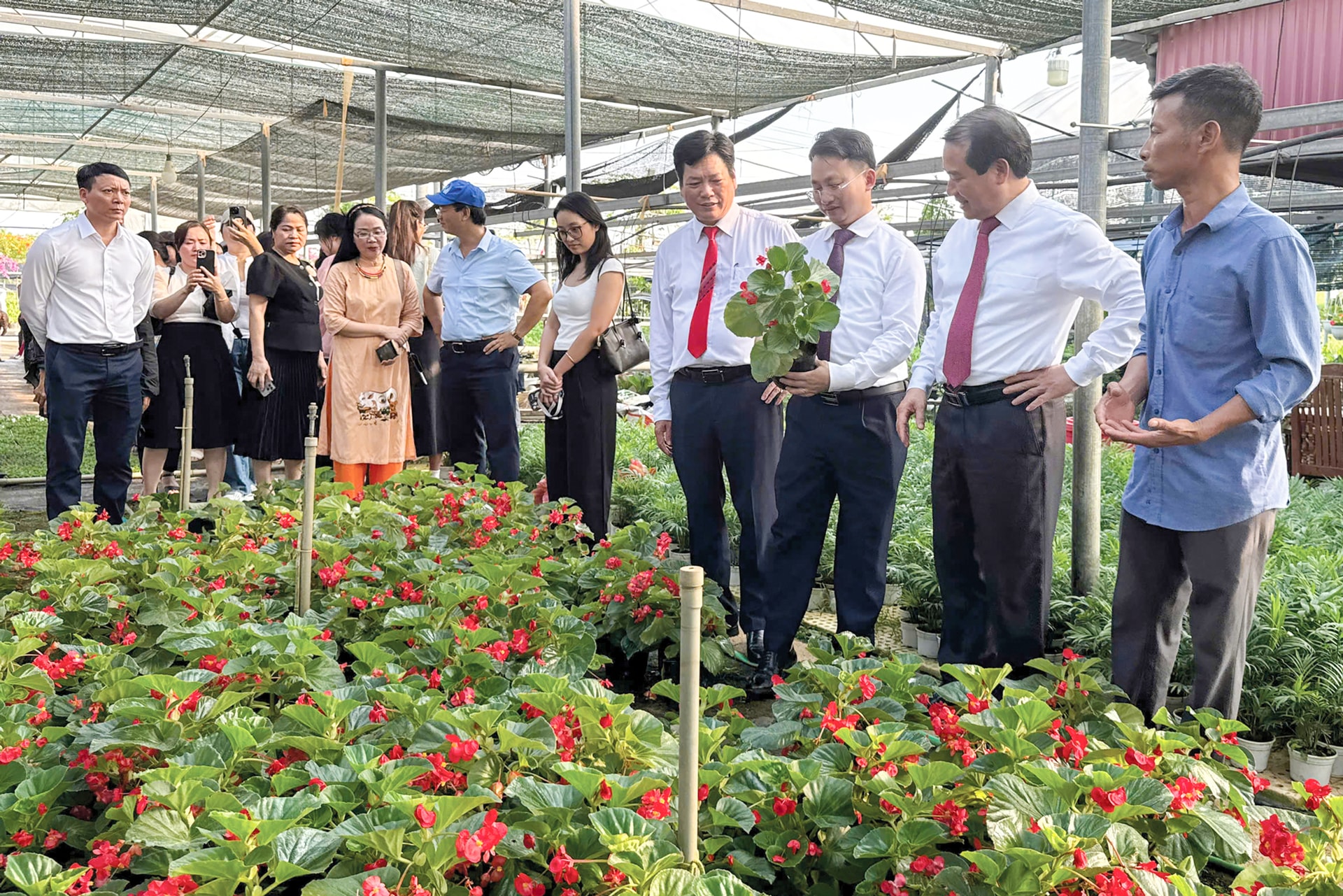 du-lich-ha-noi-but-pha-voi-tinh-hoa-hoi-tu