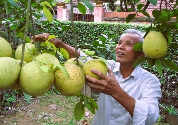 cho-phep-su-dung-dia-danh-yen-so-hoai-duc-de-dang-ky-2-nhan-hieu-tap-the