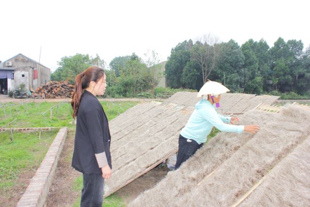 mien-dong-ocop-duc-phat-hang-that-chat-luong-that