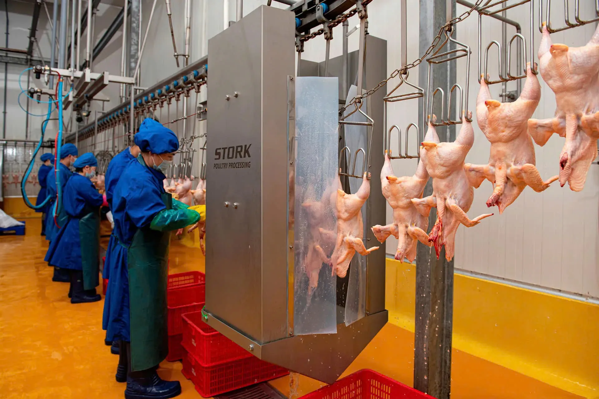 dua-giet-mo-gia-suc-gia-cam-di-vao-nen-nep