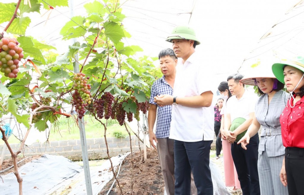 ha-noi-thuc-day-chuyen-doi-so-trong-san-xuat-nong-nghiep