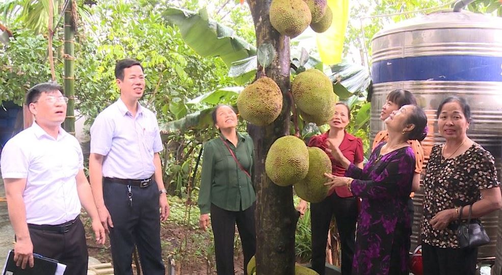 mit-ngot-dau-mua-nong-dan-phuc-tho-lam-kinh-te-tu-vuon-nha