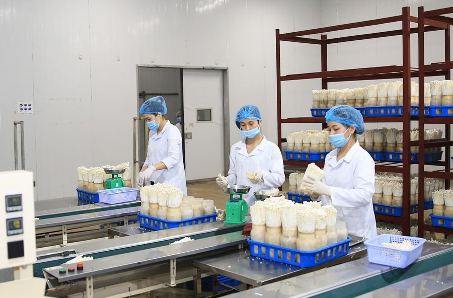 nganh-nong-nghiep-ha-noi-ung-dung-cong-nghe-so-can-them-dong-luc-tu-chinh-sach