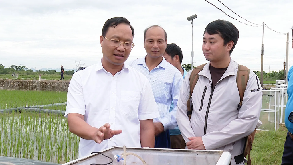 nong-nghiep-thu-do-chuyen-minh-xanh-hoa-giac-mo-net-zero-bat-dau-tu-dong-ruong