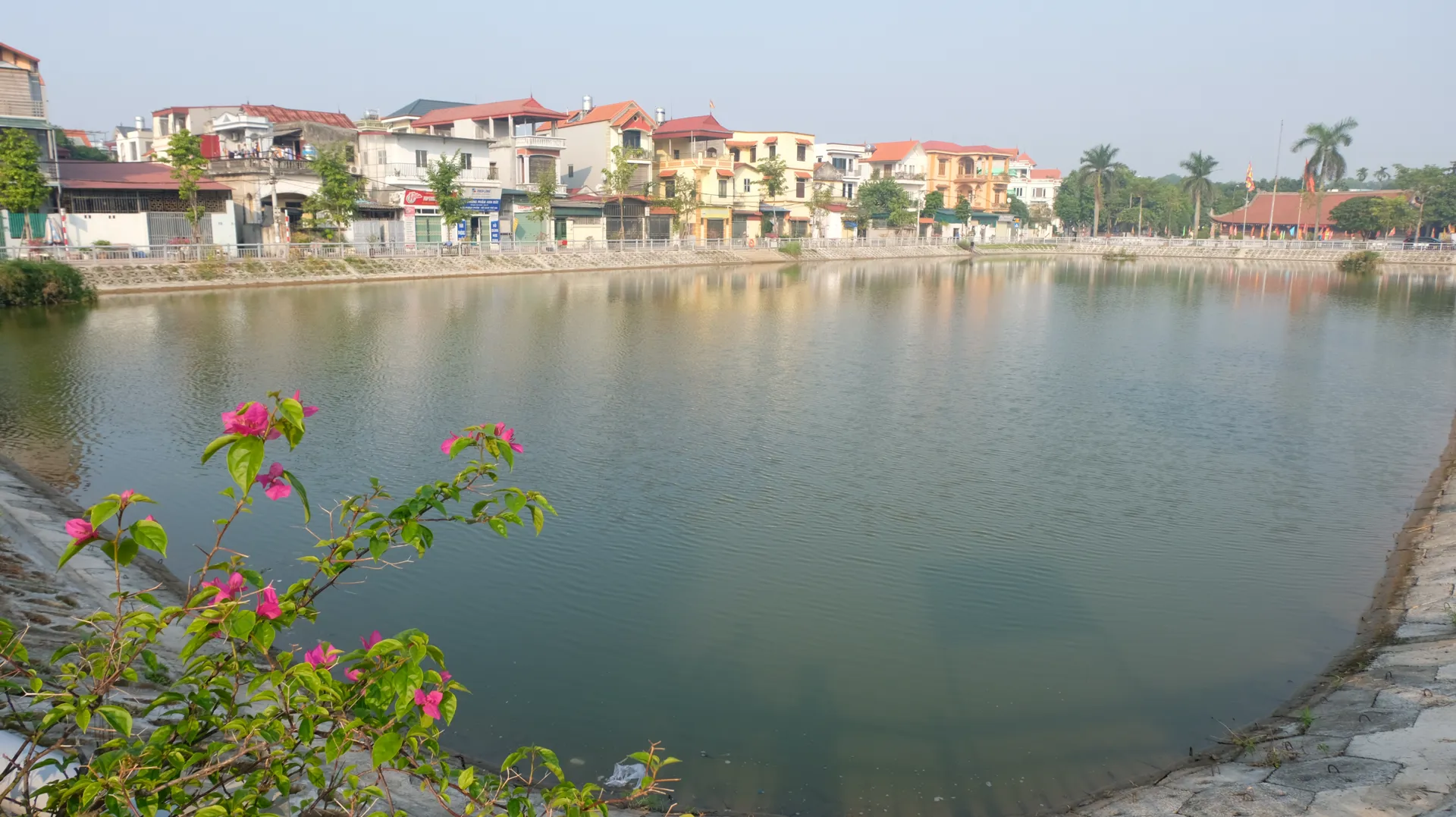 nong-nghiep-ha-noi-80-nam-khang-dinh-vai-tro-tru-do