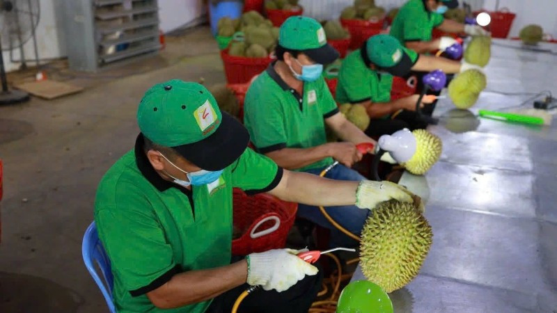 tang-cuong-quan-ly-chat-luong-nong-san-xuat-khau