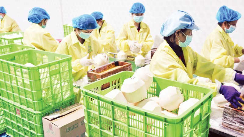 chuyen-huong-thi-truong-xuat-khau-nong-san