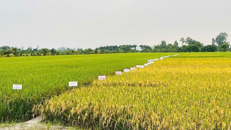 san-xuat-nong-lam-nghiep-va-thuy-san-tiep-tuc-da-on-dinh