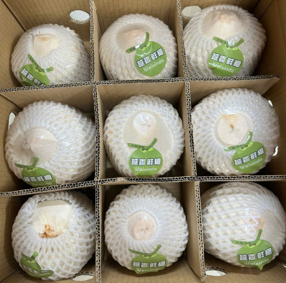 xuat-khau-gan-22-tan-dua-tuoi-qua-cua-khau-bac-luan-ii-quang-ninh