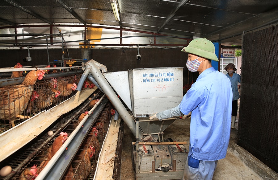 quy-khuyen-nong-thanh-pho-ba-do-phat-trien-kinh-te-cho-nong-dan