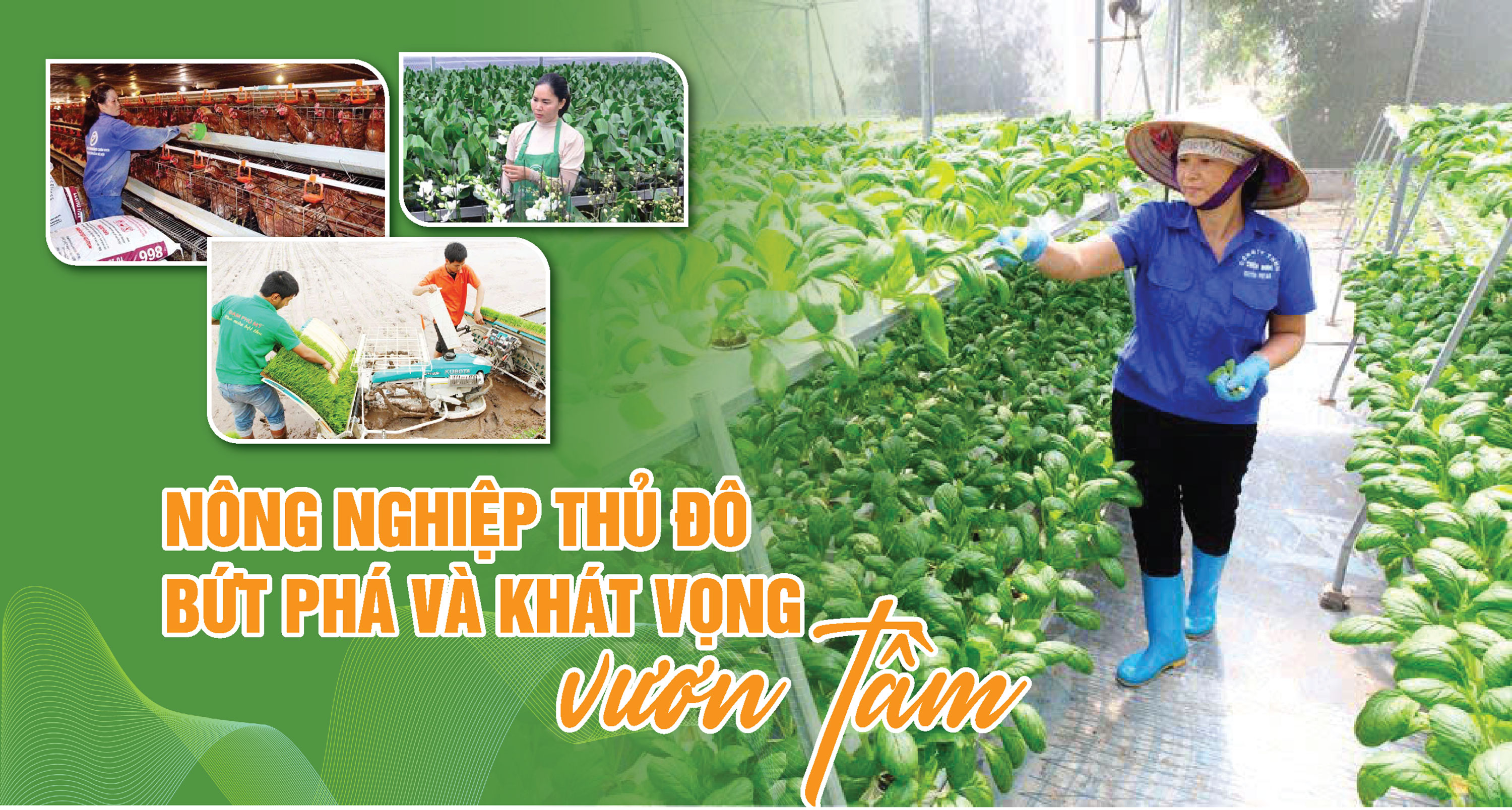 nong-nghiep-thu-do-but-pha-va-khat-vong-vuon-tam