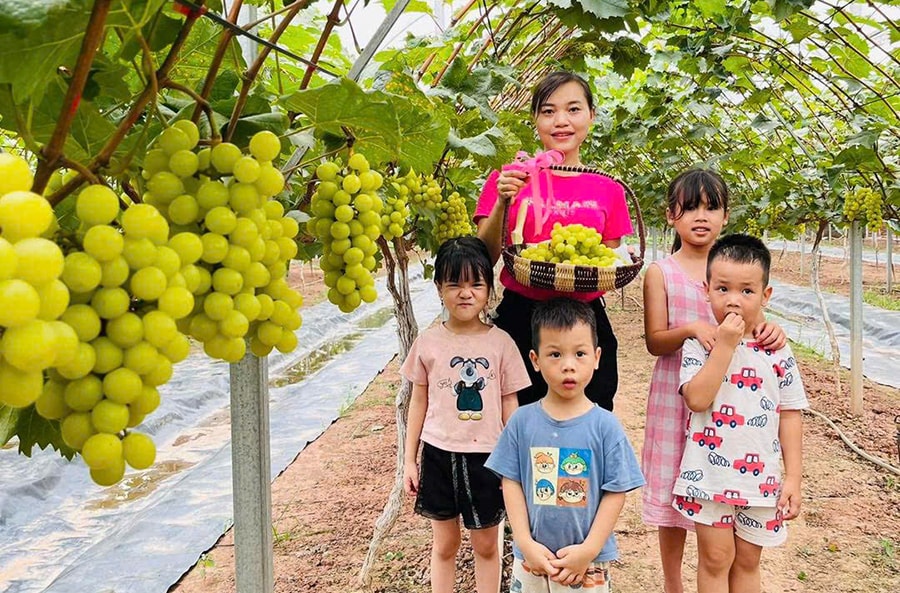 xay-dung-nong-nghiep-thong-minh-o-thanh-oai