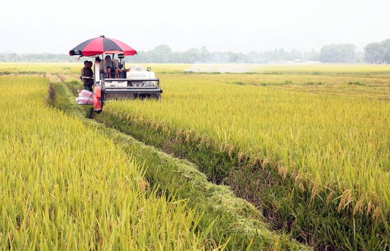 tam-hung-phat-huy-lien-ket-chuoi-nang-tam-nong-nghiep-sinh-thai