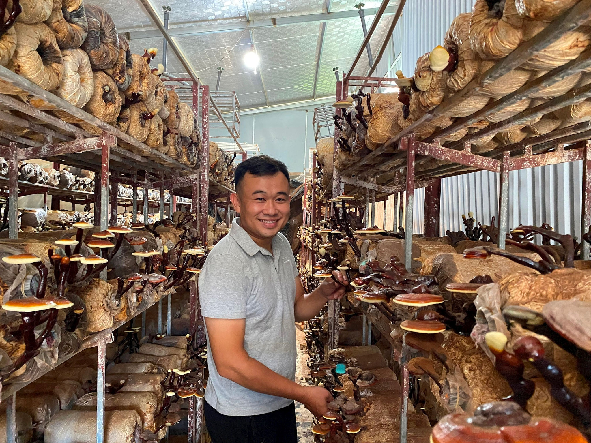 nong-dan-tre-thien-loc-va-khat-vong-dua-nam-lim-xanh-vuon-xa