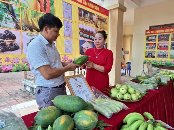 huy-dong-nguon-luc-hoan-thien-cac-tieu-chi-nong-thon-moi-kieu-mau