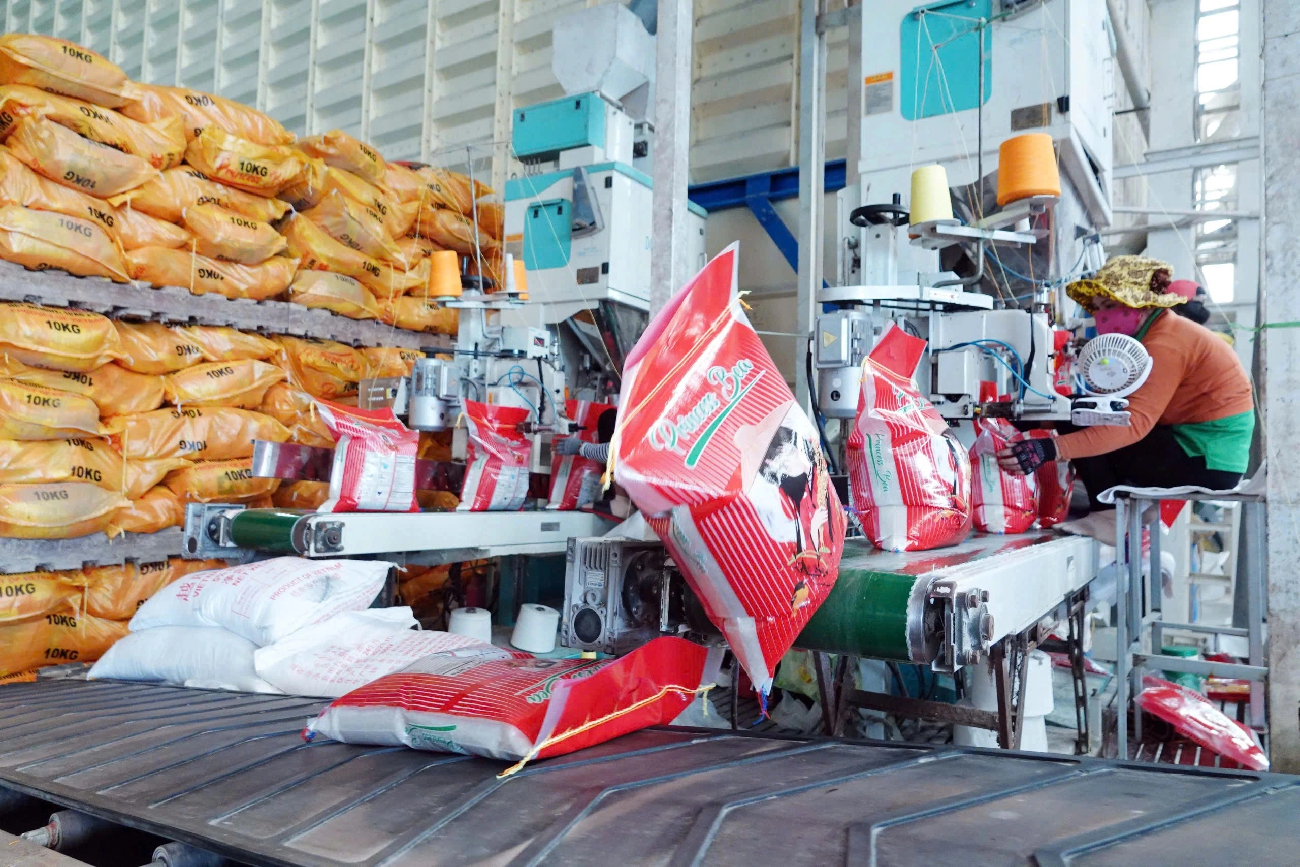 viet-nam-vuot-thai-lan-tro-thanh-nuoc-xuat-khau-gao-lon-thu-hai-the-gioi