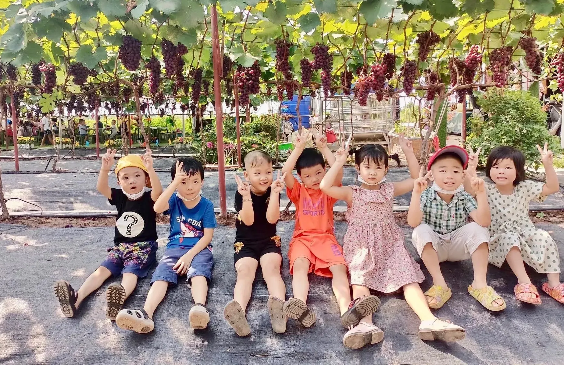 nganh-nong-nghiep-va-moi-truong-ha-noi-phat-trien-nong-nghiep-sinh-thai-kien-tao-thu-do-xanh