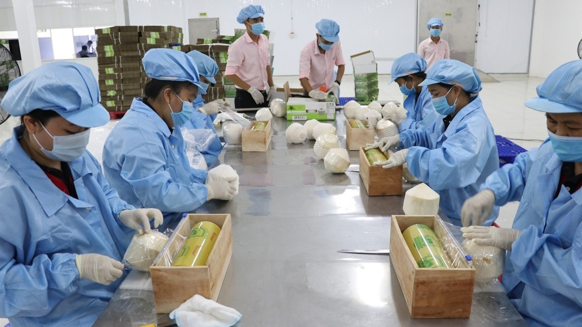 5-nam-thuc-thi-evfta-dong-luc-thuc-day-thuong-mai-ben-vung-giua-viet-nam-va-eu