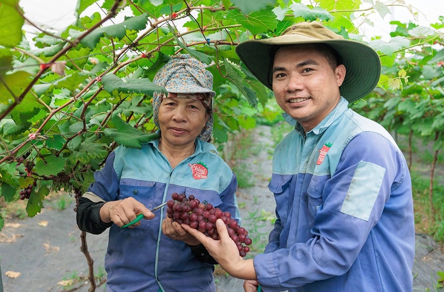 vinh-thanh-phat-huy-loi-the-ven-do-tao-da-but-pha