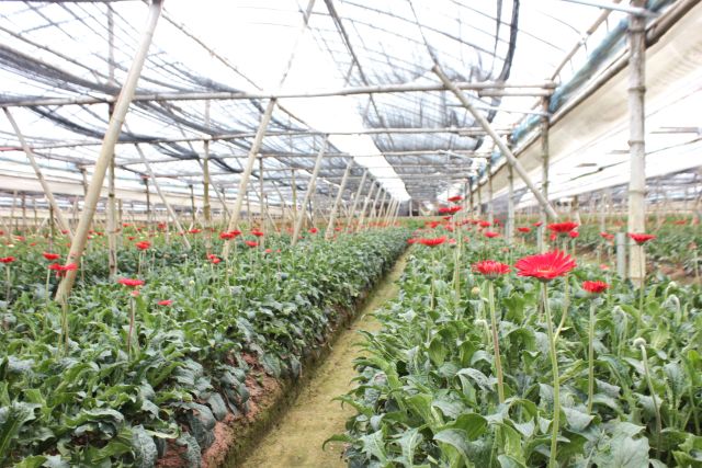 xa-dan-phuong-dat-trong-tam-phat-trien-kinh-te-va-chuyen-doi-so-nang-cao-hieu-qua-hoat-dong-cua-mo-hinh-chinh-quyen-dia-phuong-2-cap