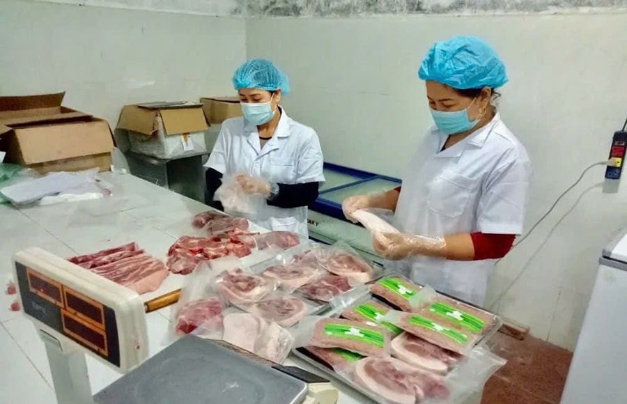 san-xuat-tieu-thu-san-pham-dong-vat-theo-chuoi-lien-ket-nang-hieu-qua-kiem-soat-chat-luong-thuc-pham