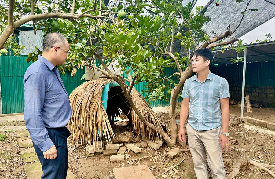 nuoi-con-dac-san-mo-huong-chan-nuoi-xanh-o-phuong-duc